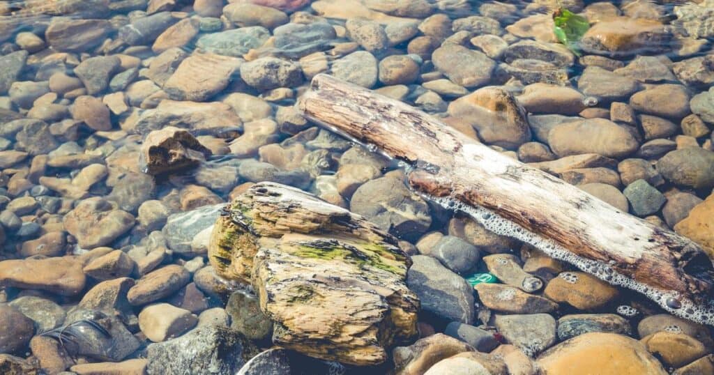 Διάφανο νερό πάνω από πέτρες και ένα κομμάτι ξύλου