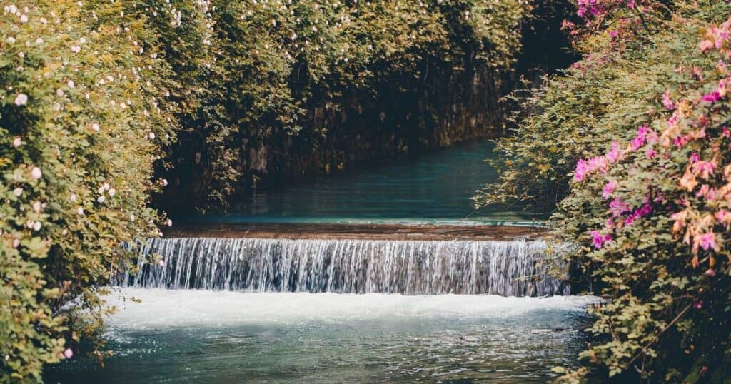 Νερό που κυλά σε μικρό καταρράκτη ανάμεσα σε ανθισμένους θάμνους