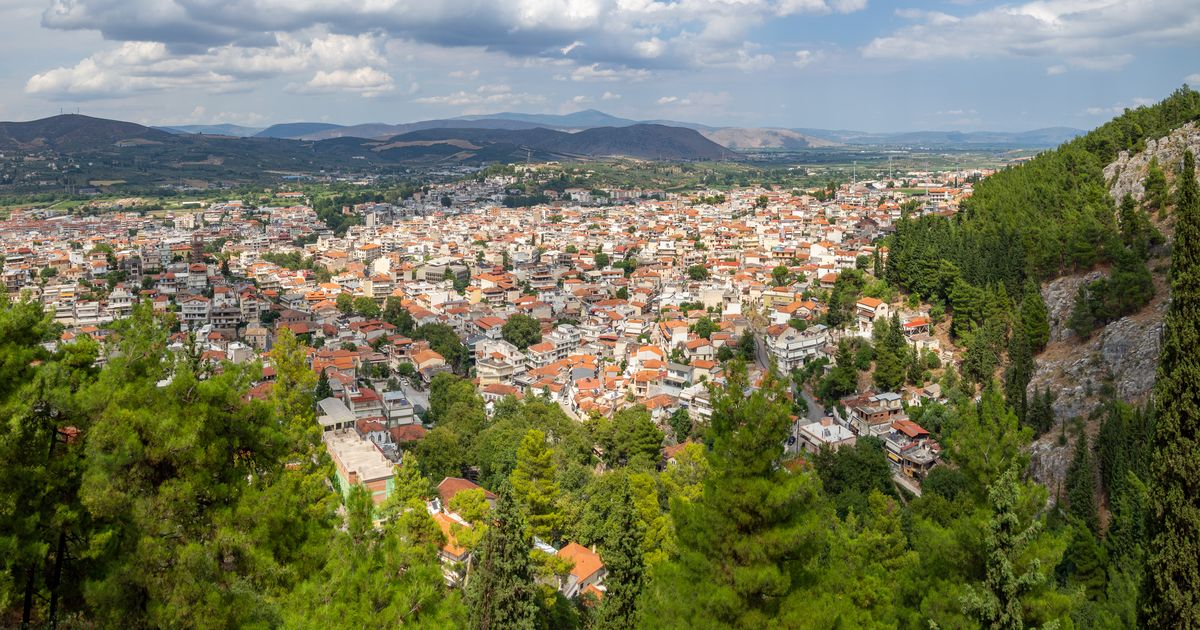 Πανοραμική θέα της Λιβαδειάς από το κάστρο, με τα σπίτια ανάμεσα στα πεύκα.