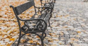 Παγκάκια σε πλακόστρωτο σκεπασμένο με φθινοπωρινά φύλλα.