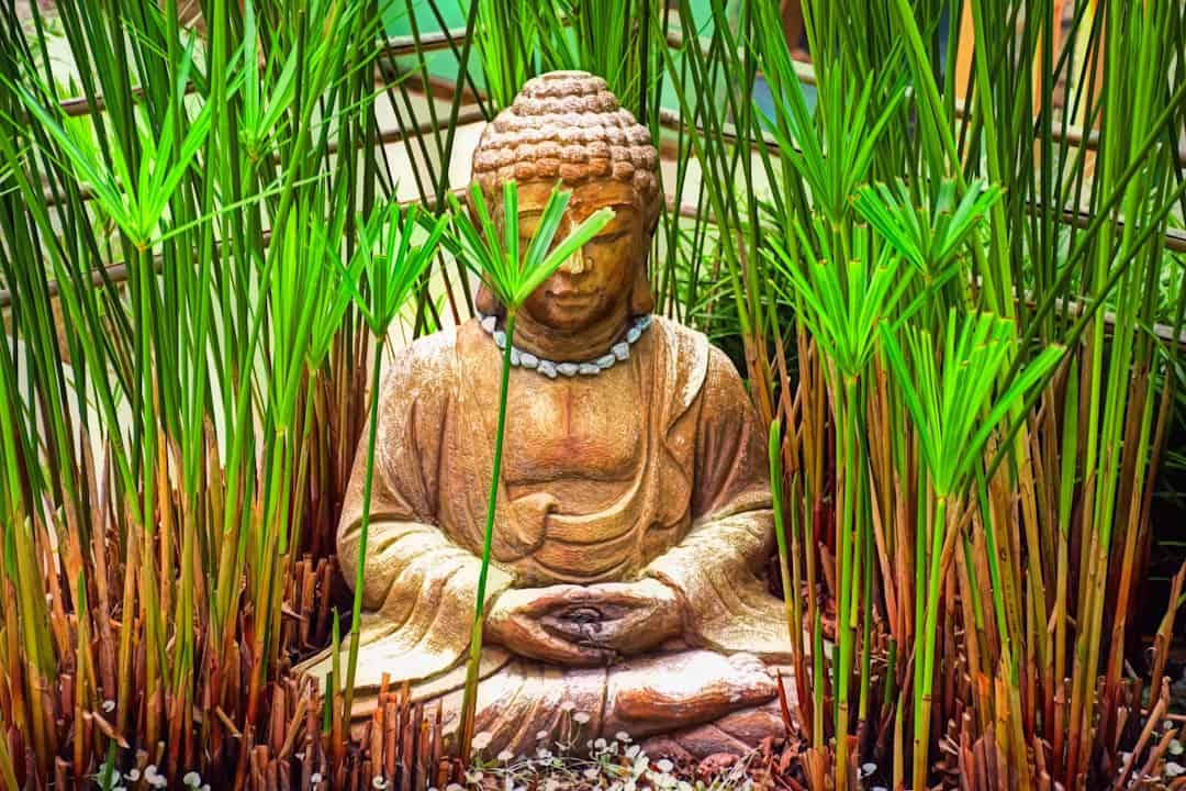 Photo Meditation garden