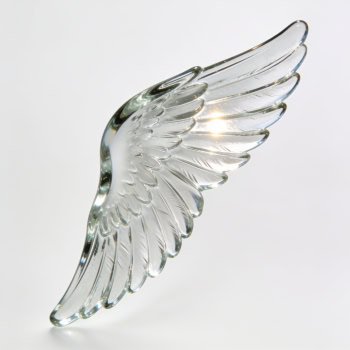 Transparenter Glasflügel als Symbol für Schutz und Sicherheit.