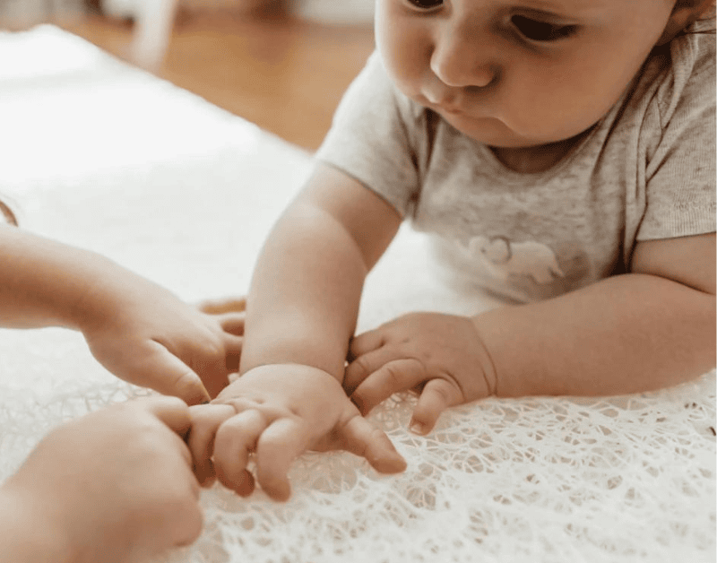 Newton Baby Features and More