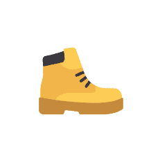 Shoe