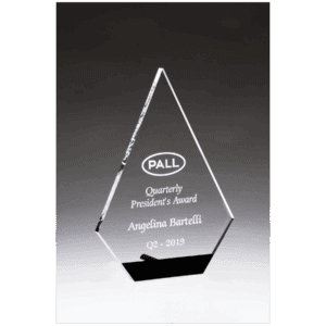 5 3/4" x 8" Diamond Series Clear Acrylic with Black Accent and Silver Post