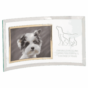 13" x 7 1/2" Jade Glass Crescent with 7" x 5" Picture Frame