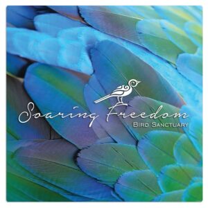 4" x 4" ChromaLuxe Aluminum Photo Panel