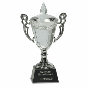 9 1/2" Crystal Cup with Silver Handles and Stem