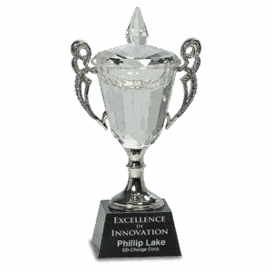 8" Crystal Cup with Silver Handles and Stem