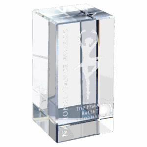 2" x 4" Clear Crystal Block