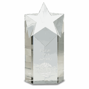 8" Clear Crystal Star Column