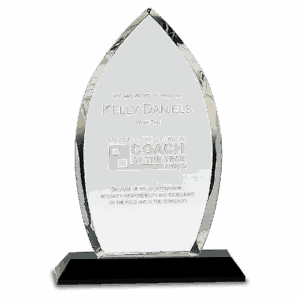9 1/2" Clear Crystal Oval on Black Pedestal Base