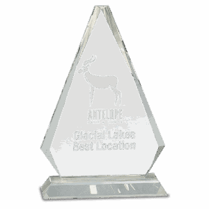 10 3/4" Clear Crystal Triangle on Clear Pedestal Base