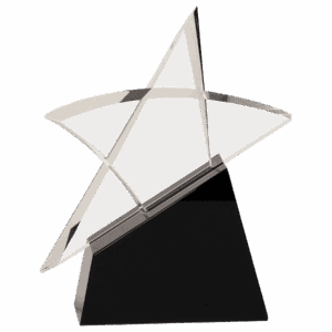 8 3/4" Clear Crystal Outline Star on Black Base