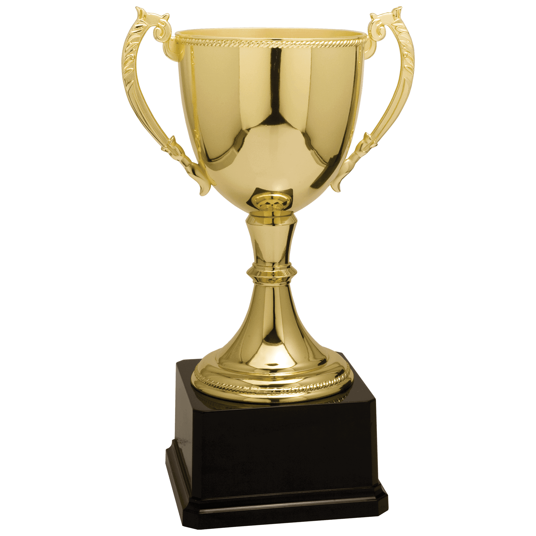 11" Completed Zinc Cup Trophy