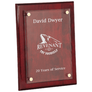 9" x 12" Piano Finish Floating Glass Plaque