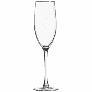 Polar Camel 8 oz. Champagne Flute