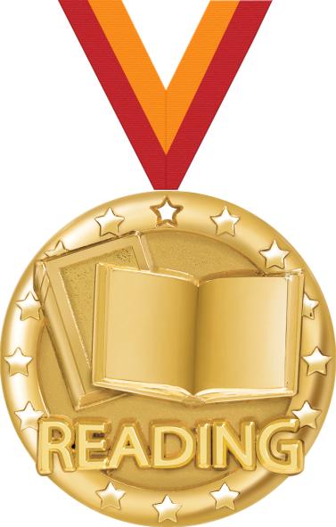 2" Reading Blaze Medal