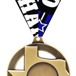 2" Texas Insert Medals