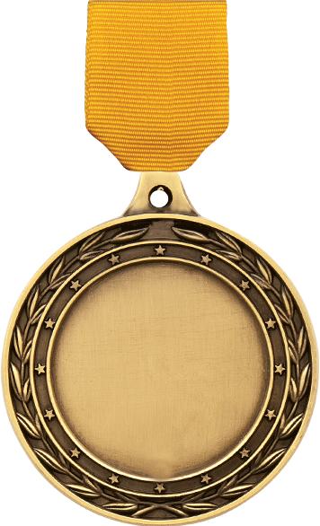 3" Duo Insert Medals