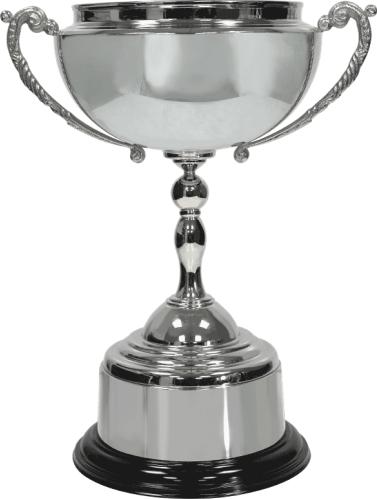 Fairway Metal Cup