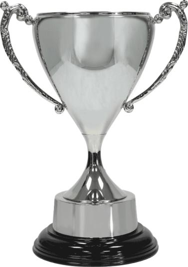 Presidential Metal Cups