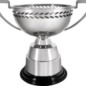 Elite Laurel Metal Cup Trophies