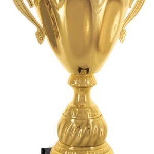 Gold Masters Cup Trophies