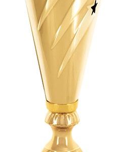 Gold And Black Star Streak Cup Trophy