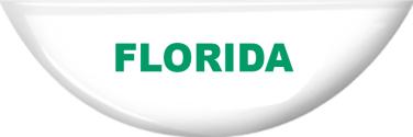 4-H Florida