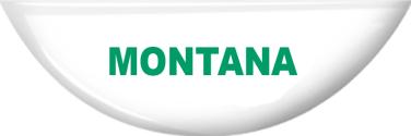 4-H Montana