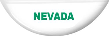 4-H Nevada