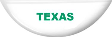 4-H Texas