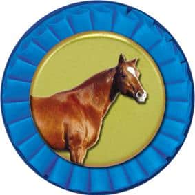 Quarter Mylar
