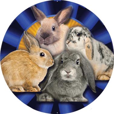 Rabbits Blue Rosette Mylar