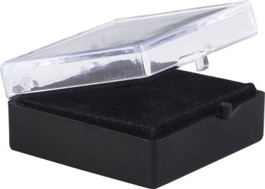 Large Pin Display Case