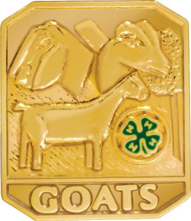 4-H Goats Insert