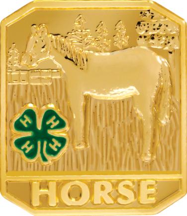 4-H Horse Insert