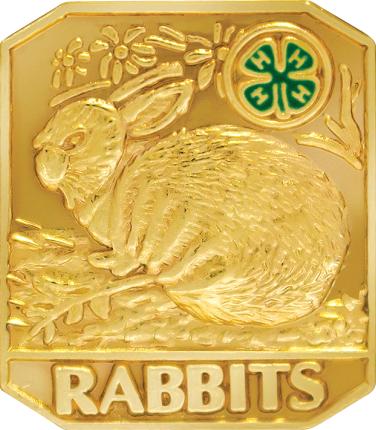4-H Rabbits Insert