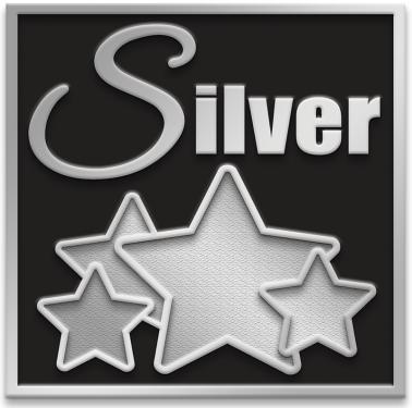 Silver Deluxe Level Metal Insert