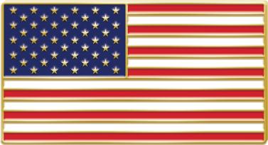 Flag Emblem Pin