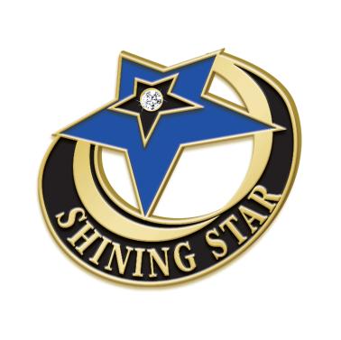 Shining Star Recognition Pin W/ Stone