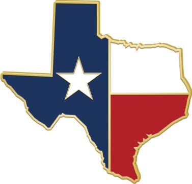 Texas State Flag Pin