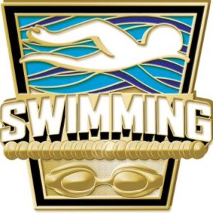 Swimming Turf Pin