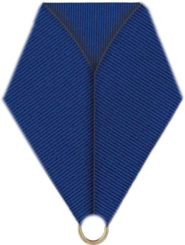 Blue Bottle Ribbon