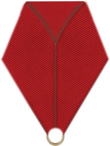 Red Bottle Ribbons