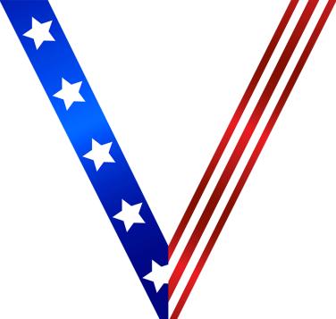 Star Spangled Sateen Neck Ribbon