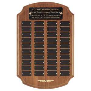 P170 2d546de5.png