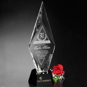 6in  Crown Gold Sculpture Resin Hockey