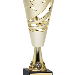 Httpwww.crowntrophy.commediacatalogproductcache1small image9df78eab33525d08d6e5fb8d27136e95202004